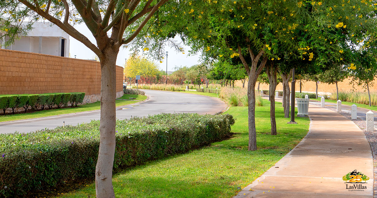 Las-Villas-del-Cardenchal