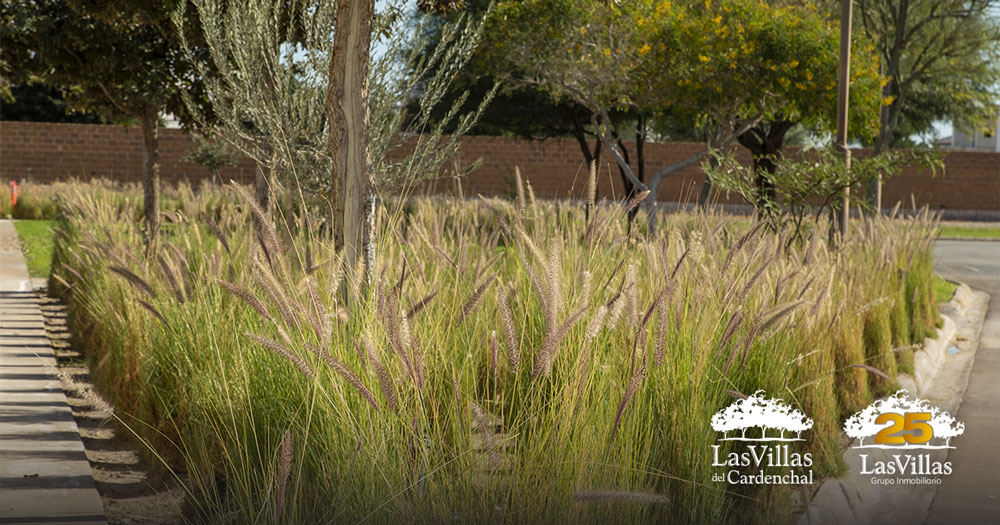 tecnologia-y-seguridad-en-las-villas-del-cardenchal
