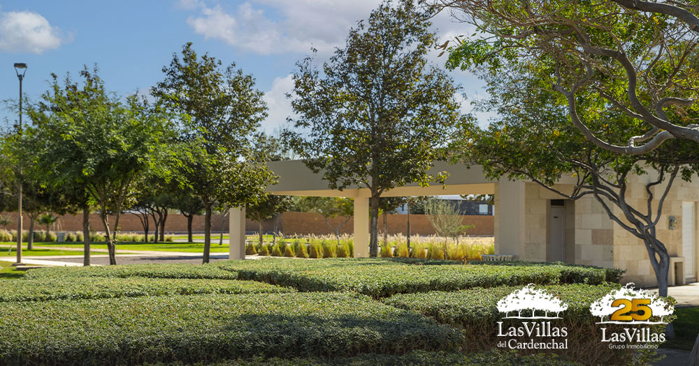 propositos-ano-nuevo-vivienda-villas-cardenchal