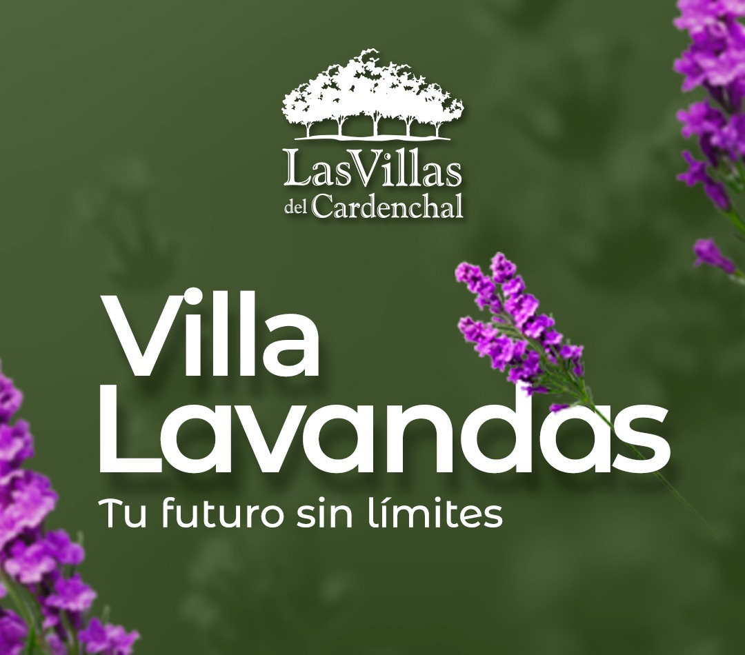 villa Lavandas