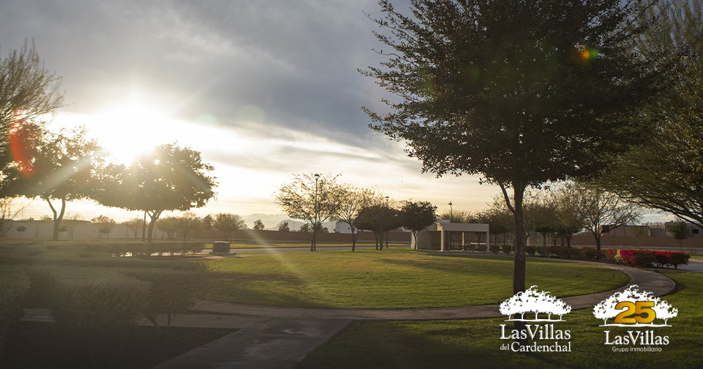 terrenos-residenciales-inversión-patrimonial-plusvalía-inmobiliaria-vivir-en-Torreón-Las-Villas-del-Cardenchal