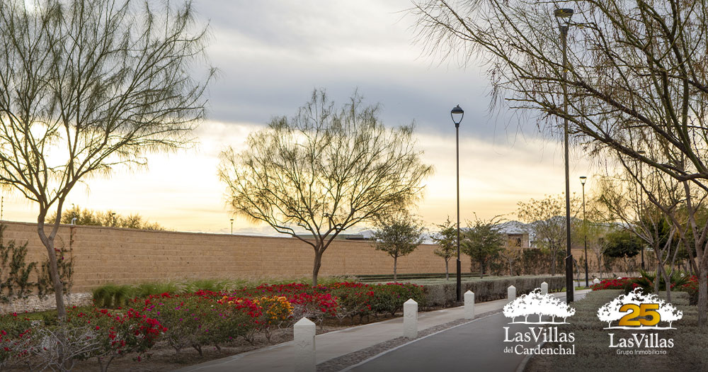 Master-plan-residencial-Plusvalía-inmobiliaria-Inversión-en-terrenos-Desarrollo-urbano-planeado-Las-Villas-del-Cardenchal